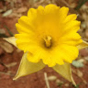 Meet your Posher, Marisol